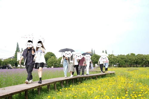趣也青年 這個周末有點甜——戶外燒烤、游戲暢玩與花海打卡的動漫之旅